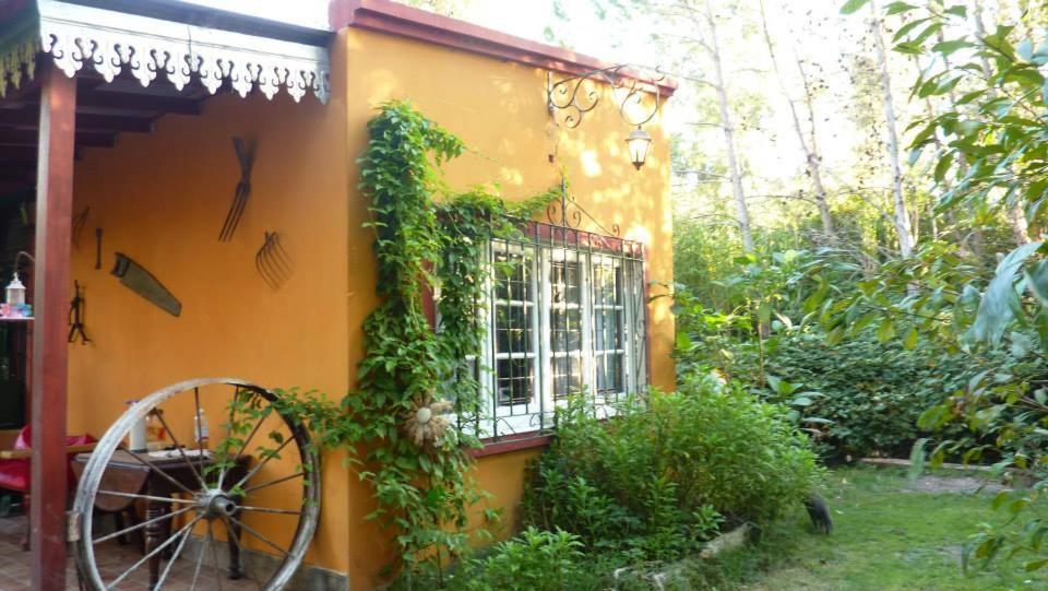 Holiday home Miramar Norte *