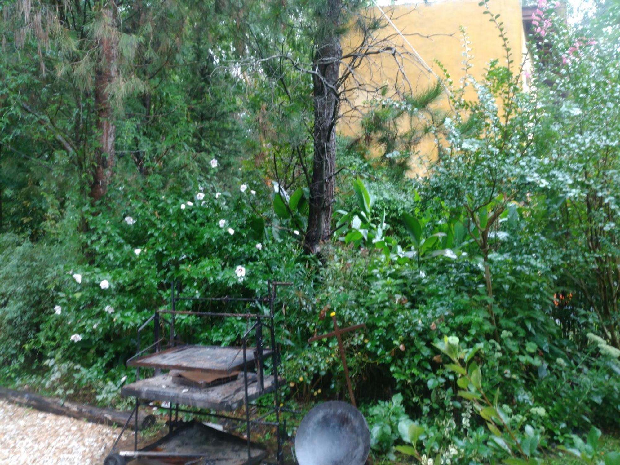 Holiday home Miramar Norte *